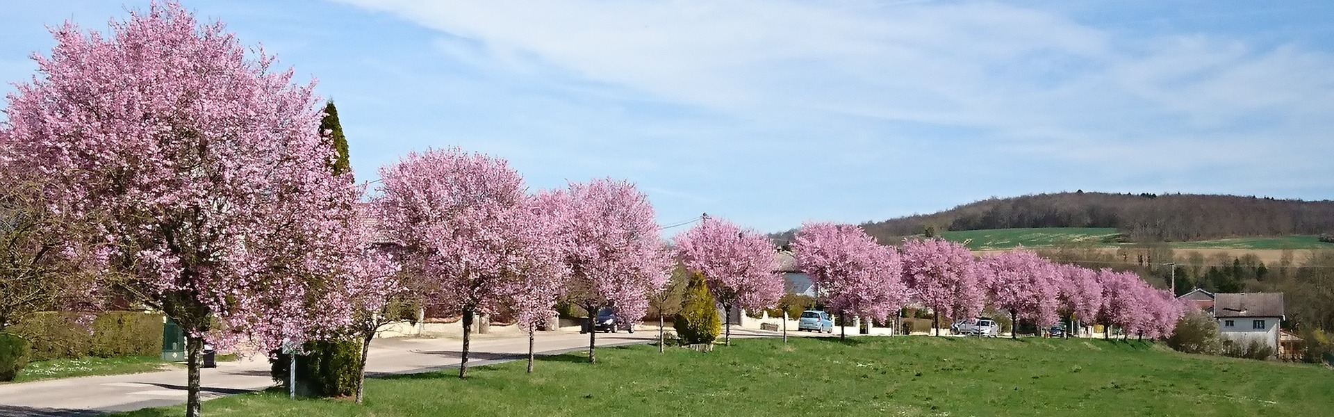 Commune de Belrupt-en-Verdunois